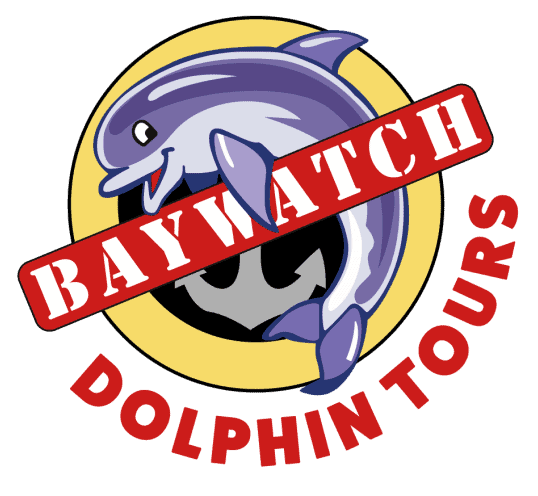 baywatch-dolphin-tours-logo1