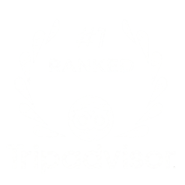 tripadvisor2